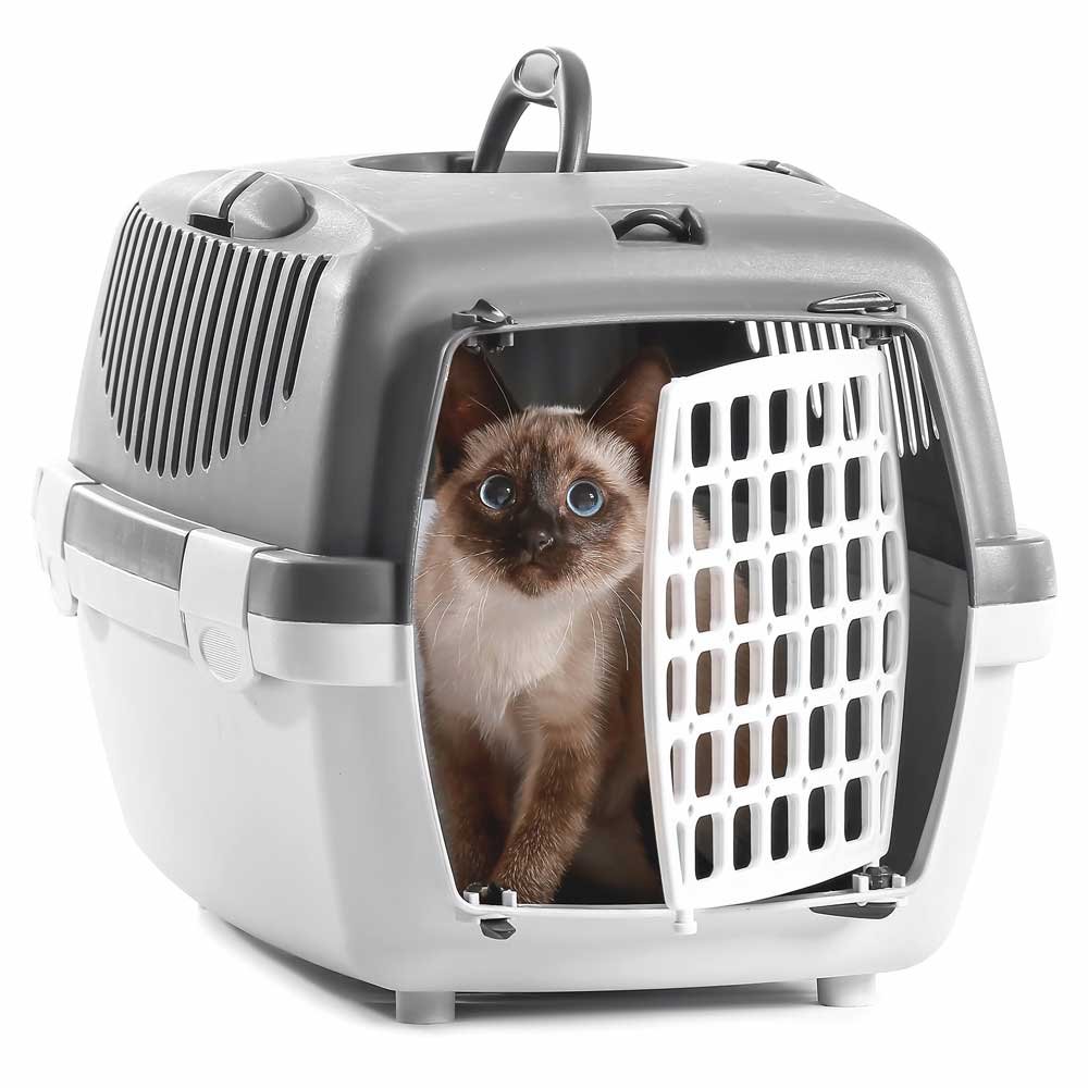 So Phresh Geometric Covered Cat Litter Box